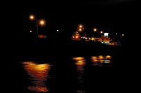 The Eclectic Collection ~ Amber Lights