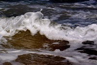 The Eclectic Collection ~ Foam