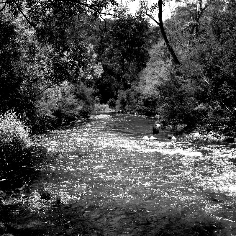River Scene 1