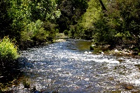 The Eclectic Collection ~ River Scene 2