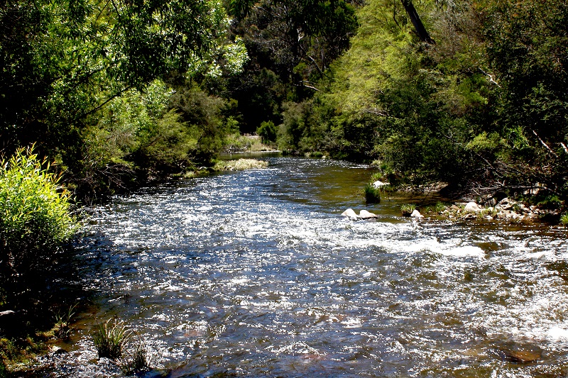 River Scene 2