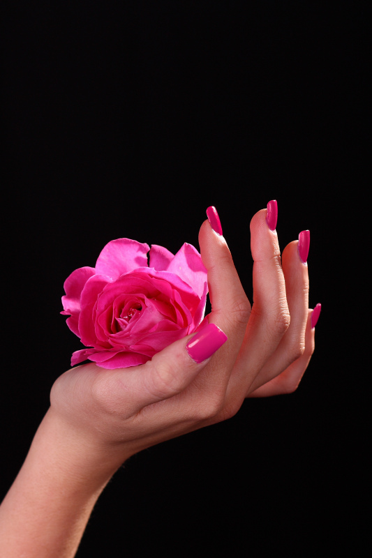 Rose And Hand