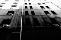The Urban Collection ~ Stained