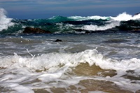 The Eclectic Collection ~ Undertow