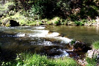 The Eclectic Collection ~ Waterfall