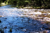 The Eclectic Collection ~ Winding Water