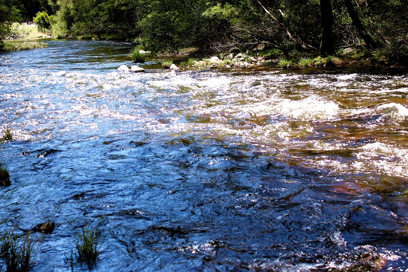 Winding Water